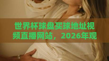 世界杯球盘买球地址视频直播网站,2026年观赛与防坑指南