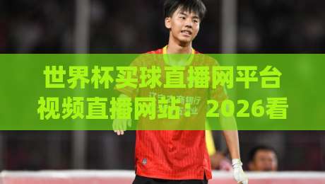 世界杯买球直播网平台视频直播网站：2026看球新姿势，你get了吗？