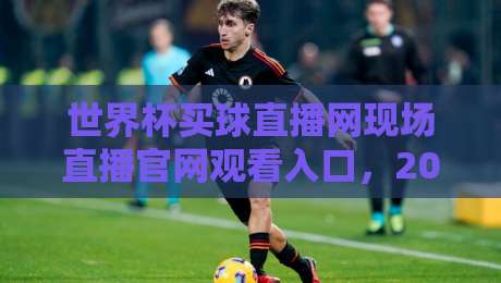 世界杯买球直播网现场直播官网观看入口,2026年观赛指南来了!