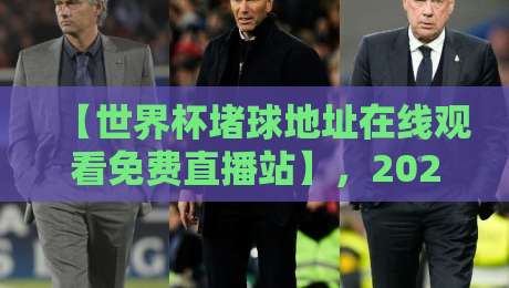 【世界杯堵球地址在线观看免费直播站】,2026年球迷必知的五大观赛平台揭秘