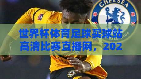 世界杯体育足球买球站高清比赛直播网，2026年观赛与投注新体验