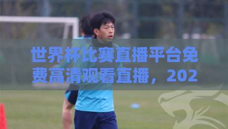 世界杯比赛直播平台免费高清观看直播，2026年球迷必备指南