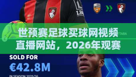世预赛足球买球网视频直播网站，2026年观赛与购彩指南大揭秘