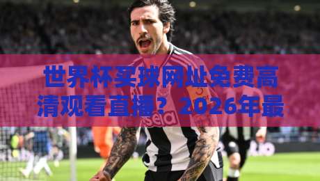 世界杯买球网址免费高清观看直播？2026年最新观赛指南来了！