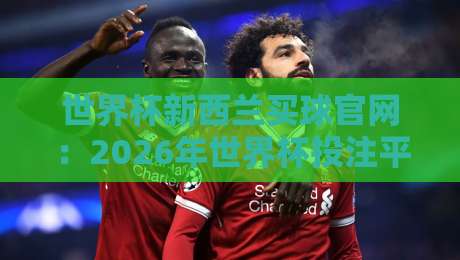 世界杯新西兰买球官网：2026年世界杯投注平台怎么选？（附防坑指南）