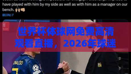 世界杯体球网免费高清观看直播，2026年球迷必备的观赛指南！