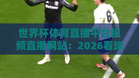 世界杯体育直播平台视频直播网站：2026看球，这些平台千万别错过！