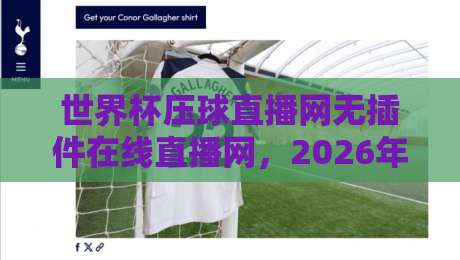 世界杯压球直播网无插件在线直播网，2026年看球新姿势？这些细节你未必知道