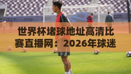 世界杯堵球地址高清比赛直播网：2026年球迷必知的三大观赛真相