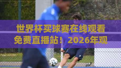 世界杯买球赛在线观看免费直播站！2026年观赛新姿势，你get了吗？