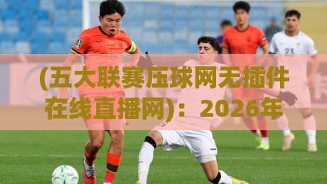 (五大联赛压球网无插件在线直播网)：2026年球迷必备的观赛神器！