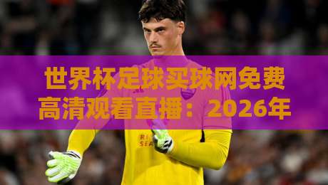 世界杯足球买球网免费高清观看直播：2026年球迷必知的五大观赛秘籍