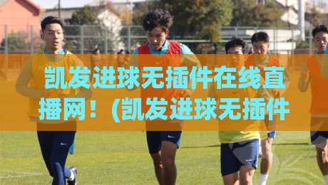凯发进球无插件在线直播网！(凯发进球无插件在线直播网) 2026年球迷必试的免费观赛神器