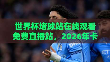 世界杯堵球站在线观看免费直播站，2026年卡塔尔世界杯观赛全攻略与避坑指南