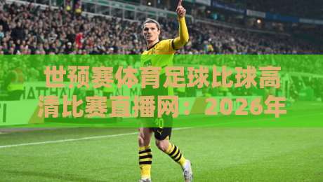 世预赛体育足球比球高清比赛直播网：2026年激战正酣，哪里看最爽？