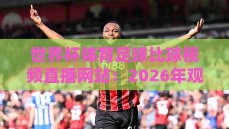 世界杯体育足球比球视频直播网站：2026年观赛避坑指南