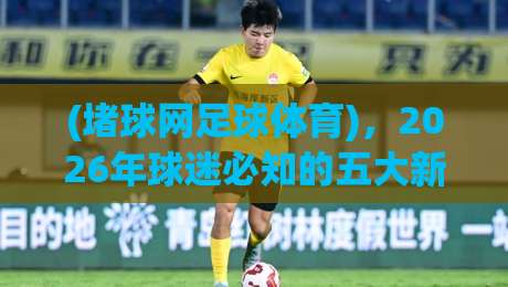 (堵球网足球体育)，2026年球迷必知的五大新趋势