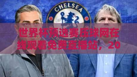 世界杯预选赛压球网在线观看免费直播站,2026年球迷必看的观赛指南与实战技巧