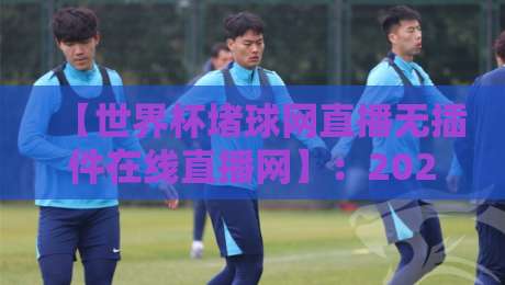 【世界杯堵球网直播无插件在线直播网】：2026年球迷必看的零卡顿观赛指南