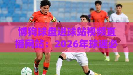 博狗球盘进球站视频直播网站:2026年球迷必备观赛新选择
