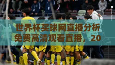 世界杯买球网直播分析免费高清观看直播,2026年球迷必备的观赛指南 世界杯买球网直播分析免费高清观看直播,2026年球迷必备的观赛指南