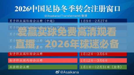 爱赢买球免费高清观看直播,2026年球迷必备的观赛神器【爱赢买球】