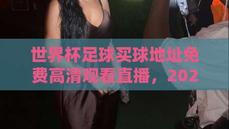 世界杯足球买球地址免费高清观看直播，2026年球迷必收藏的观赛指南