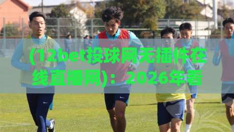 (12bet投球网无插件在线直播网)：2026年看球新姿势，告别卡顿不是梦