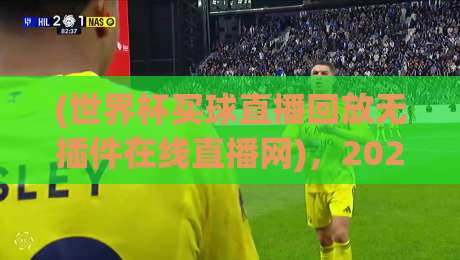 (世界杯买球直播回放无插件在线直播网),2026年球迷的真实选择与避坑指南