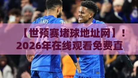 【世预赛堵球地址网】!2026年在线观看免费直播站,球迷必备指南 【世预赛堵球地址网】!2026年在线观看免费直播站,球迷必备指南