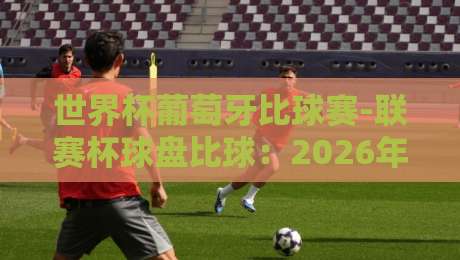 世界杯葡萄牙比球赛-联赛杯球盘比球：2026年最全攻略与实战心得