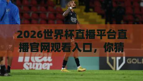 2026世界杯直播平台直播官网观看入口，你猜怎么着？这些渠道才靠谱！