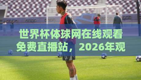 世界杯体球网在线观看免费直播站，2026年观赛新选择！