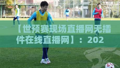 【世预赛现场直播网无插件在线直播网】:2026年球迷必备的干净观赛指南