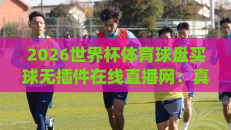 2026世界杯体育球盘买球无插件在线直播网：真球迷的观赛首选，你get了吗？