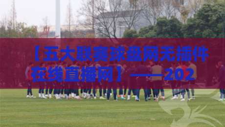 【五大联赛球盘网无插件在线直播网】——2026年球迷的终极观赛指南，你试过吗？