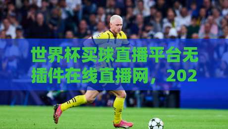 世界杯买球直播平台无插件在线直播网，2026年观赛新体验全面解析