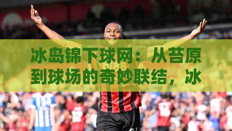冰岛锦下球网：从苔原到球场的奇妙联结，冰岛锦下球网为何让户外爱好者着迷？-今晚靠谱最火投球网让球盘高清技巧预选竞投论坛