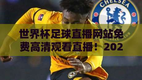 世界杯足球直播网站免费高清观看直播！2026观赛指南与避坑攻略（世界杯足球直播）
