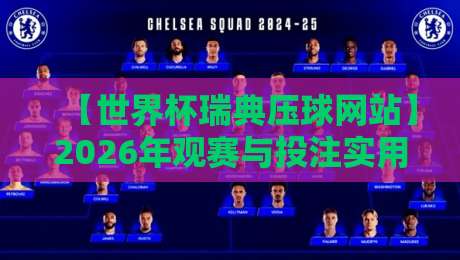 【世界杯瑞典压球网站】2026年观赛与投注实用指南