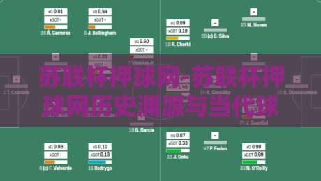 苏联杯押球网-苏联杯押球网历史渊源与当代球迷文化观察：苏联杯押球网背后的足球记忆-最大权威网页比球网大球分析走地大全早盘文字