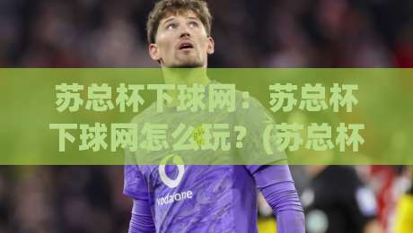 苏总杯下球网：苏总杯下球网怎么玩？(苏总杯下球网)新手常忽略的3个细节【苏总杯下球网】-今晚靠谱最火堵球站论坛720P集锦软件登入上盘