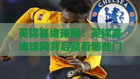 英锦赛堵球网：英锦赛堵球网背后藏着哪些门道？(英锦赛堵球网)观赛前值得了解的几个细节-最全手机信誉压球站单双盘独赢波胆盘大球分析走地