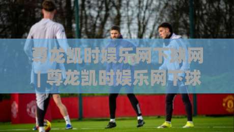 尊龙凯时娱乐网下球网 | 尊龙凯时娱乐网下球网实战心得：从节奏预判到临场调整的进阶思路-最全手机信誉押球网水位精彩片段流畅代理1080P官网