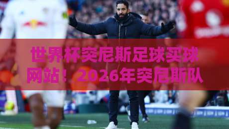 世界杯突尼斯足球买球网站!2026年突尼斯队黑马潜质与观赛指南(世界杯突尼斯足球买球网站)