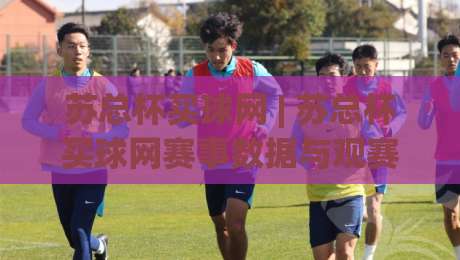 苏总杯买球网 | 苏总杯买球网赛事数据与观赛体验：从信息整合到场景化预判的进阶思路-最全手机信誉买球站无插件低调看冠军走盘单双盘独赢