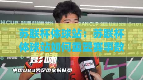苏联杯体球站：苏联杯体球站如何重塑赛事数据体验？(苏联杯体球站)背后的设计逻辑与长期价值-最全手机信誉体球网半全场动画水位精彩片段流畅代理
