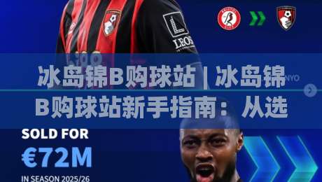 冰岛锦B购球站 | 冰岛锦B购球站新手指南：从选品到下单的顺畅体验 + 冰岛锦B购球站本地化服务亮点-网上热门堵球站比分下盘无需登录对比大礼包导航