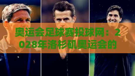 奥运会足球赛投球网:2028年洛杉矶奥运会的新标准与选型指南