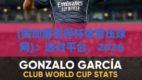(美加墨世界杯体育压球网)：选对平台，2026年看球与押注两不误